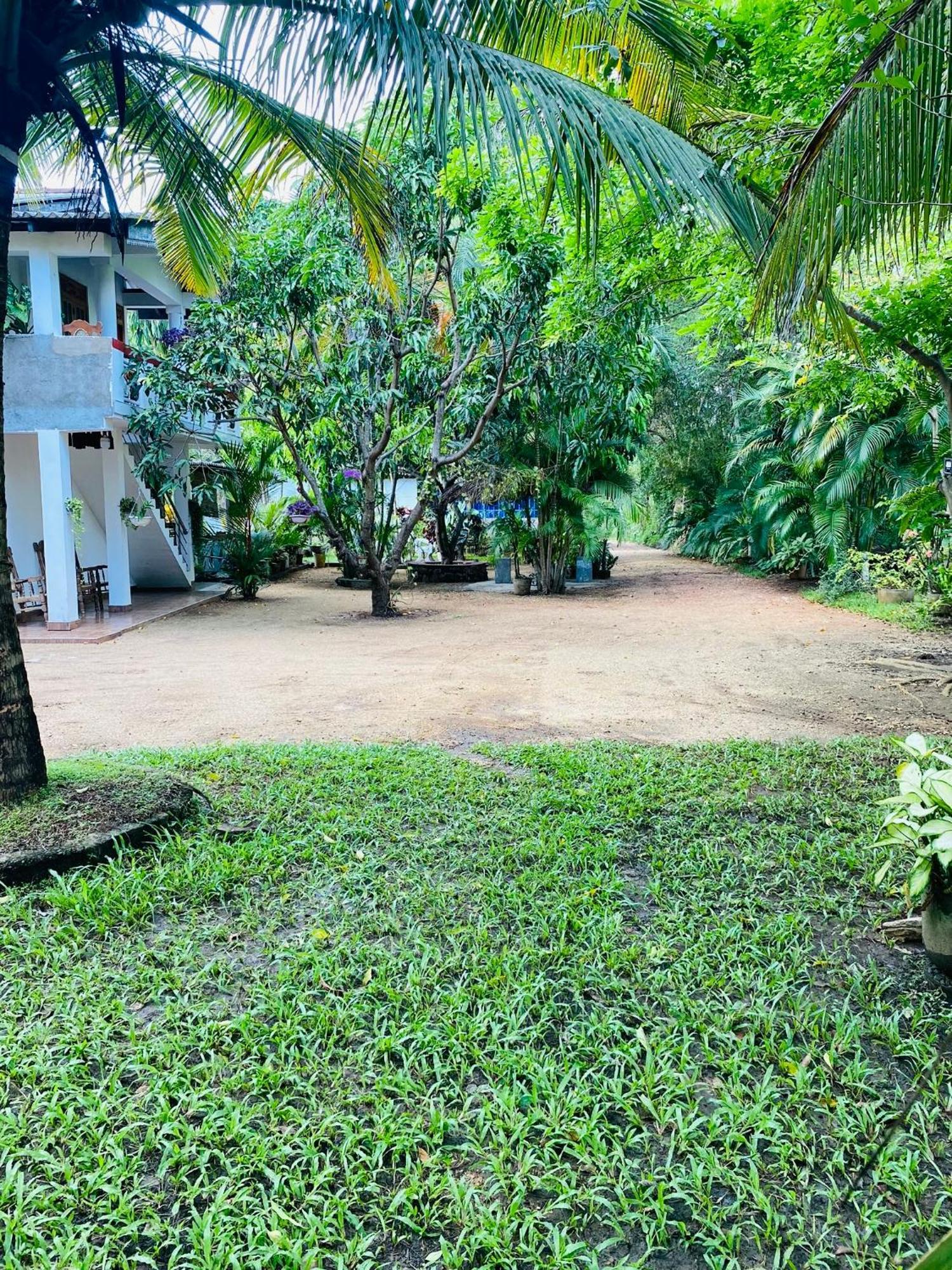 The Green Garden Dambulla Zewnętrze zdjęcie